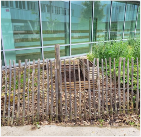 Installation du potager